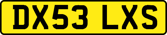 DX53LXS
