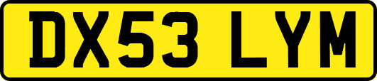 DX53LYM