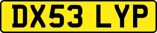 DX53LYP