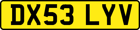 DX53LYV