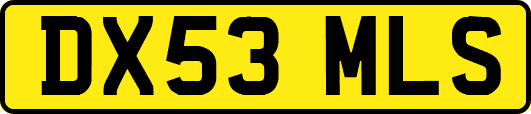 DX53MLS