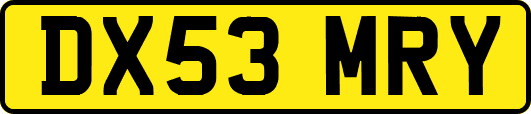 DX53MRY