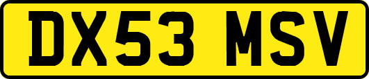 DX53MSV