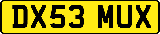 DX53MUX