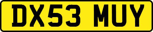 DX53MUY
