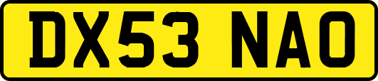 DX53NAO