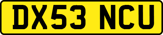 DX53NCU