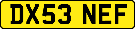 DX53NEF