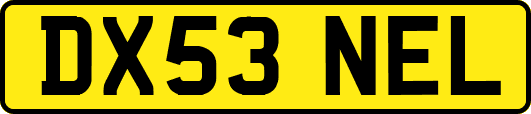 DX53NEL