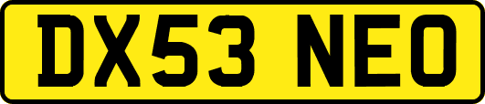 DX53NEO