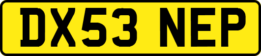 DX53NEP