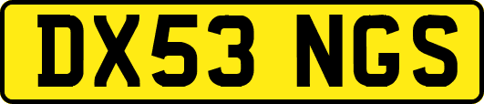 DX53NGS