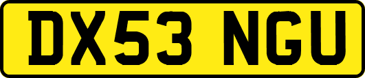 DX53NGU