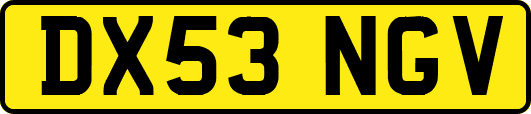 DX53NGV