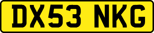 DX53NKG