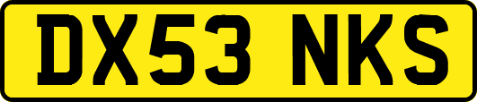 DX53NKS