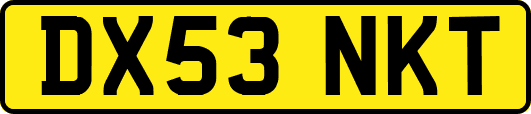 DX53NKT