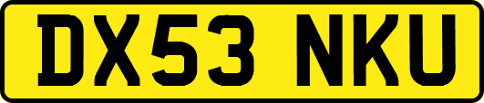 DX53NKU