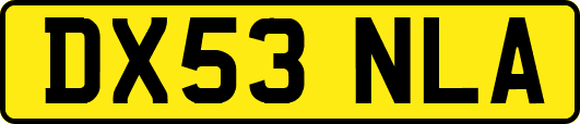 DX53NLA