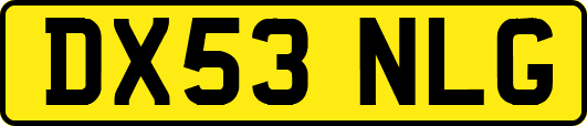 DX53NLG