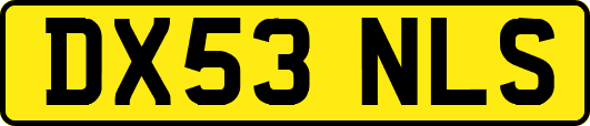 DX53NLS