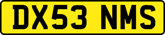 DX53NMS