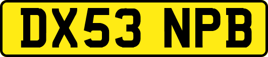 DX53NPB
