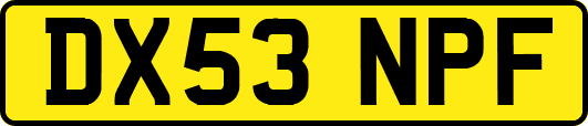 DX53NPF