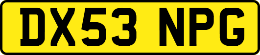 DX53NPG