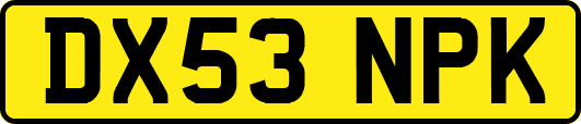 DX53NPK