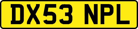 DX53NPL