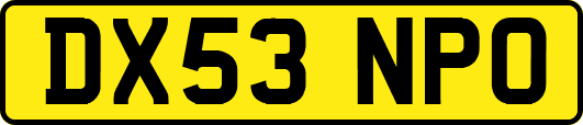 DX53NPO