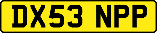 DX53NPP