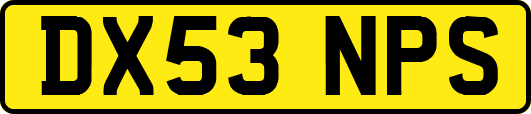 DX53NPS