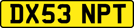 DX53NPT