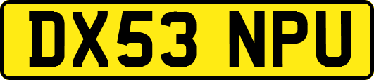 DX53NPU