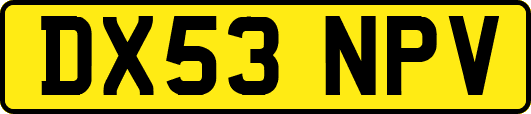 DX53NPV