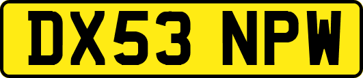DX53NPW
