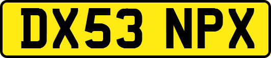 DX53NPX