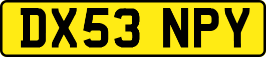 DX53NPY