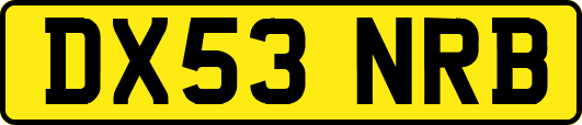 DX53NRB