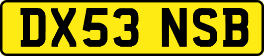 DX53NSB