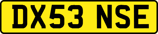 DX53NSE