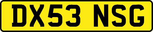 DX53NSG
