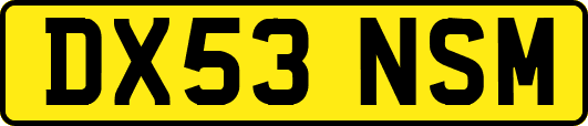 DX53NSM