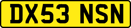DX53NSN