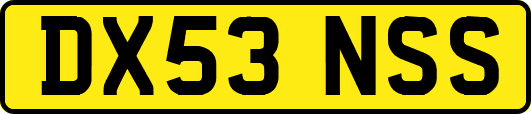 DX53NSS