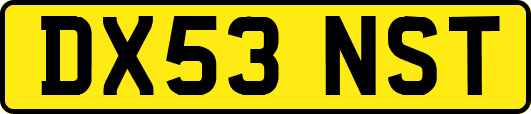 DX53NST