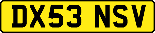 DX53NSV