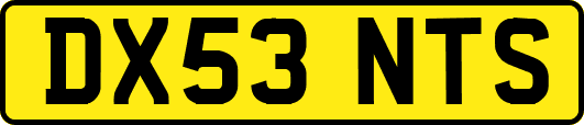 DX53NTS